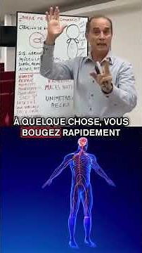 How the nervous system controls the entire body!
