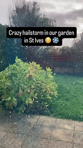 2.3K views · 318 reactions | Wow, it’s hailing like crazy in St Ives  You’ll have to make do with a video from my garden as it’s too cold and painful to go out of the house for a more picturesque setting!!! #stives #cornwall #stivesbythesea | St Ives By The Sea Cornwall | Facebook