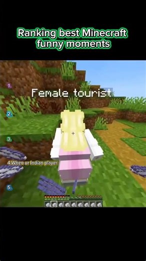 Ranking Top 5 Best Minecraft funny moments part 1
