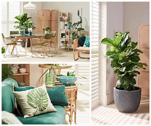 "The key to making this look work is not to overfill the space - you want it to feel light and airy,'' says Carpet Court ambassador Darren Palmer. Use our inspiration mood board to discover how to incorporate Botanics style into your home. | Carpet Court