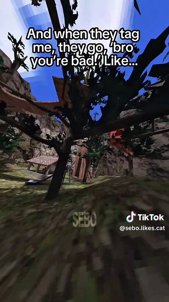 Struggling in Tag Games: A Funny Take