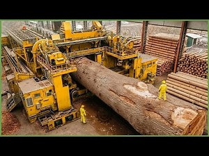 The plywood manufacturing process from log to workbench – Inside the largest sawmill