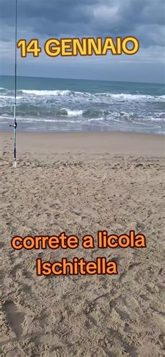 Divertimento al Mare: Pesca e Amici