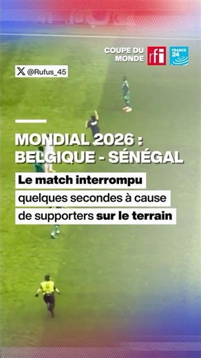 Le match Belgique - Sénégal interrompu quelques secondes à cause de spectateurs sur le terrain