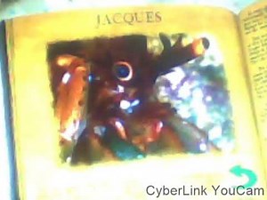 Finding Nemo Mr. Ray's Encyclopedia: Jacques