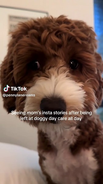 Penny is not amused.