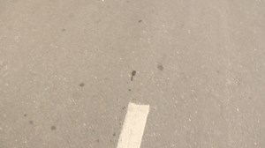 1.6K views | Condition : Excellent Car Name : Kia Sportage New Shape...