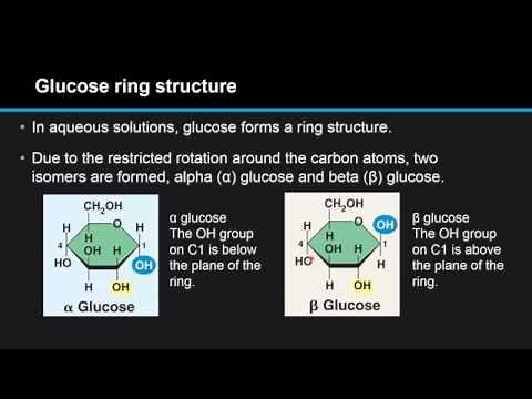 B.3.2 Draw the straight-chain and ring structural formulas of glucose and fructose.