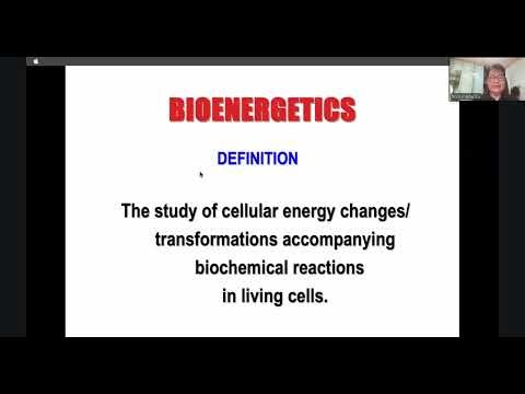 BIOENERGETICS PT. 1