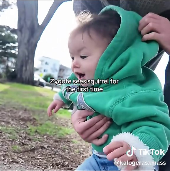 Suni's Surprised Reaction to Squirrel Encounter