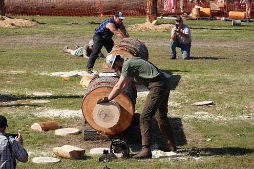 3.6K views · 67 reactions | 2024 Sequim Logging Show. 140cc Powersaw Bucking Event. 2nd place at 12.48 seconds. GoPro @gopro #mitchzenobitrees #treework #treelife #trees #treecutting #timberfaller #logger #logging #lumberjack #arborist #loggingshow #stihl #chainsaw #ms661 #gopro #olympicpeninsula #logger1988 #pnw #sequim #viral #reel #reels | Mitch Zenobi | Facebook