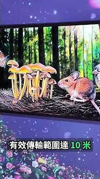 Samsung The Frame Pro 香港登場〡無線連接 + Neo QLED