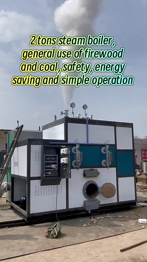 Energy Efficient 2 Tons Steam Boiler for Coal and Firewood