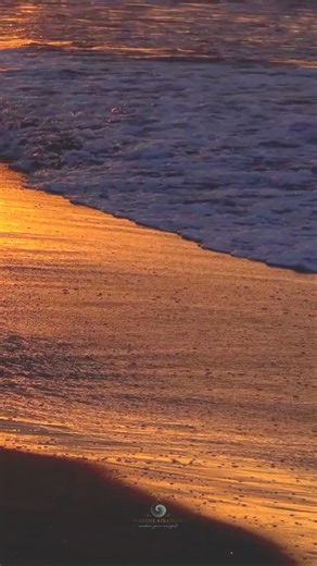 Intuition doesn’t arrive as logic. It arrives as sensation....