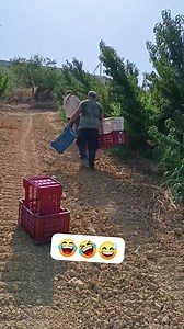 11K views · 103 reactions | 藍 #reelschallengereelschallenge #reelschallenge #Ali #capo #stranieri #Mustafa #italia | Partire e Restare tv | Facebook