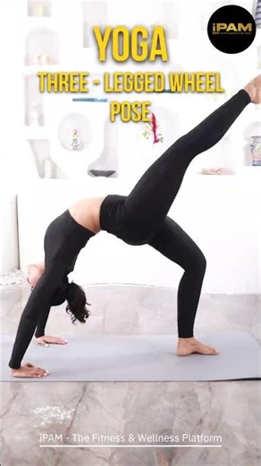 Where Strength Meets Balance
