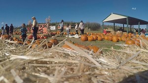 Celebrate fall at the Fall Harvest Festival hosted by Beck's Harvest House at Green Bluff