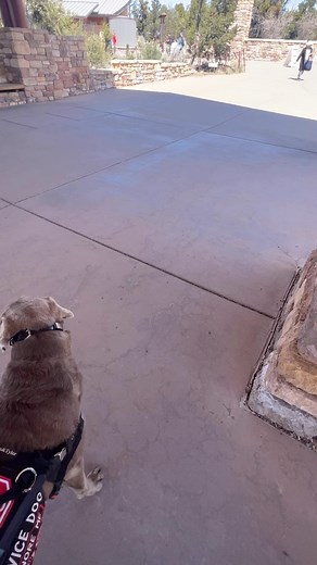 111K views · 10K reactions | Can I find the bathroom at the Grand...