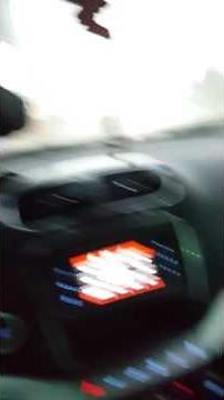 Stray Dog climbs through window