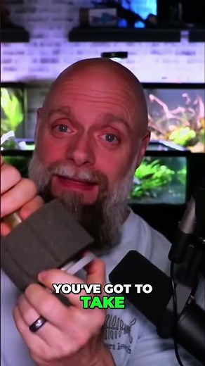 Essential Sponge Filter Maintenance: 5 Easy Steps