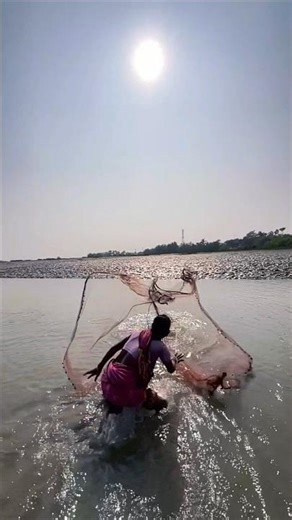 Cast Net Master Shot 🎯 | Big Fish Catch #shorts #youtubeshorts #foryou