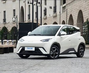 [Hot Item] Electric Powertrain Byd Seagull EV New Electric Vehicle