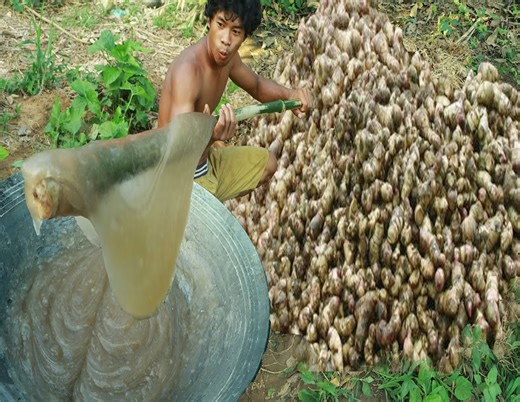 Life In Jungle Technology Arrowroot create Jelly bumping Arrowroot fake flour #Amazing #reelsvideoシ #food #cooking #love #happy #chef | Survival Life