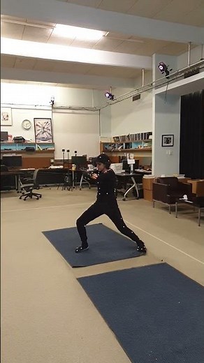 VICON Motion Capture for Motion Blending @ SIG Lab UPenn