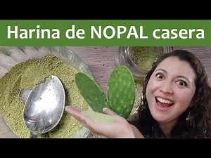 How to make NOPAL MEAL with an easy home method