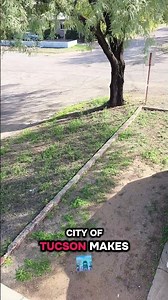 This Is Why Code Enforcement Came After Me