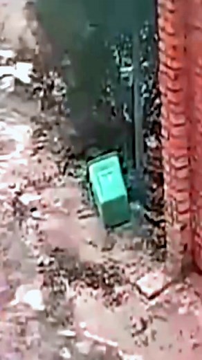 Funny Construction Fails Featuring a Small Dog