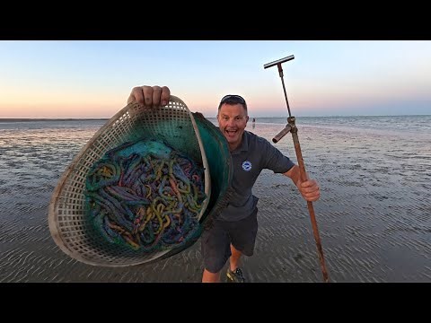 How to collect Lugworm - A simple, effective method to SAVE Money and catch fish more Fish!
