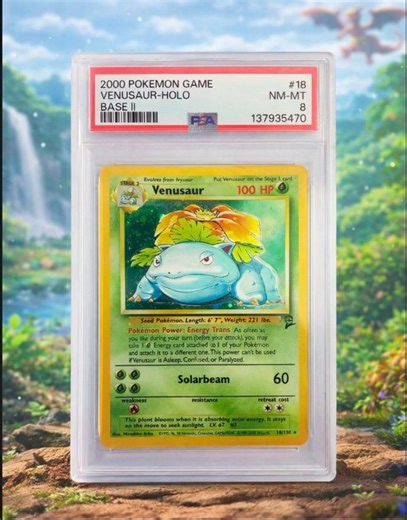 2000 Pokémon Venusaur Holo Base Set II #18 PSA 8 Graded Vintage Card - Etsy