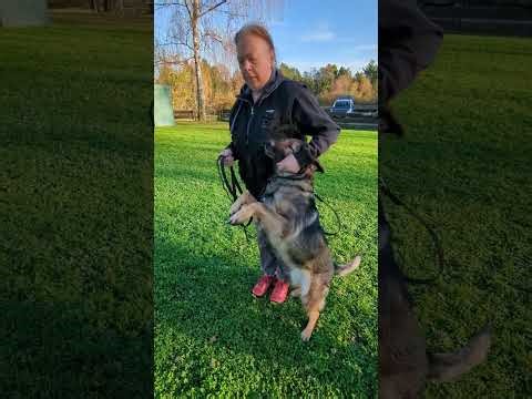 Birgit 25.10.2024 1/2 .