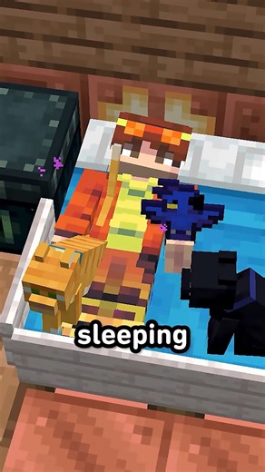 This Minecraft Trick Removes Phantoms #minecraft #minecraftmemes #minecraftbuilds #minecraftpe #minecraftmods | Great Block