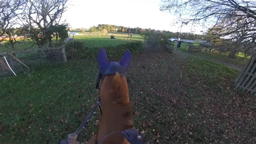 Cotswold mini team chase 2025 - Santi | Georgie and the Equines - HAT CAMS