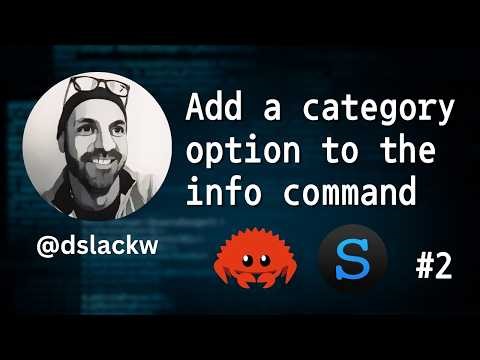 New option category for info command | sbpkg #2