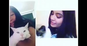 5K views · 93 reactions | Enough hooman! | Rage Comics | Facebook