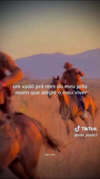 Eu Só Quero Um Xodó - A Paixão Sertaneja de Dominguinhos