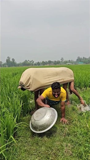 The man left the pot upside down, thinking it was a cow.538
