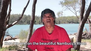 40K views · 89 reactions | Have you heard of the Ngambaa giants? To celebrate International Mother Tongue Day, here is the dreaming story of how the bend in the Nambucca River in New South Wales came to be. | ABC Australia | Facebook