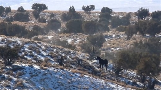 793K views · 15K reactions | Over the course of the Fish Creek...