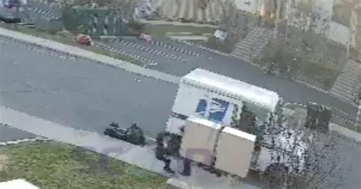 USPS mail carrier in NYC suburb captured on video violently shoving 4-year-old Jewish boy · American Wire News
