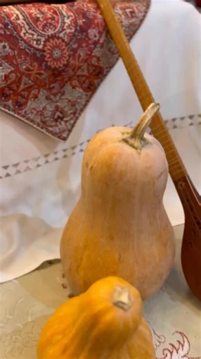 ‎دکوفیش| آکواریوم٬پلنتاریوم٫تراریوم|فلت‎ on Instagram‎: "⁨ ⁨ یلدا مبارک♥️ مجموعه دکوفیش، شبی زیبا و به یاد ماندنی را برای شما آرزو می کند #یلدا #اکواریوم #دکوفیش #yalda #aquarium⁩⁩"‎