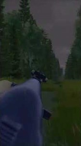 Surrounded on all sides by two packs of wolves #dayz #dayzstandalone #dayzps5 #dayzgamers