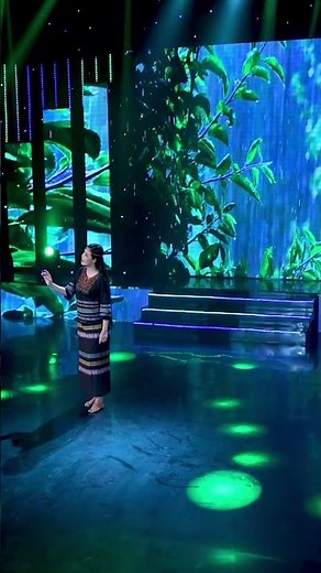 mưa rừng ơi mưa rừng....#bolerohay #nhactrutinh #bolero