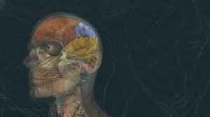 2.1K views · 619 reactions | Famous Neurologists reveal the secret remedies Indians use to improve memory, fight cognitive decline and promote brain function. | 1MD | Facebook