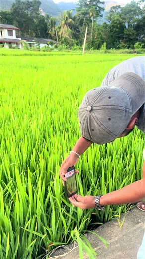 Essential Mobile Videography Tips for Stunning Videos