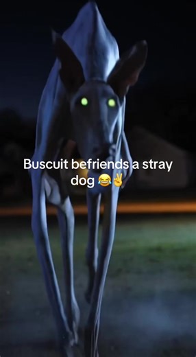 Buscuit Befriends Stray Dog