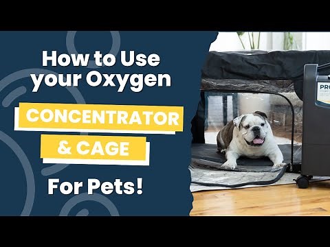 How To Use A Pet Oxygen Concentrator and Oxygen Cage